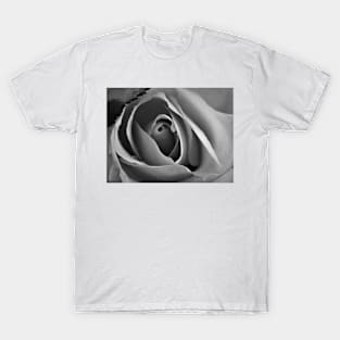 A rose in black and white T-Shirt